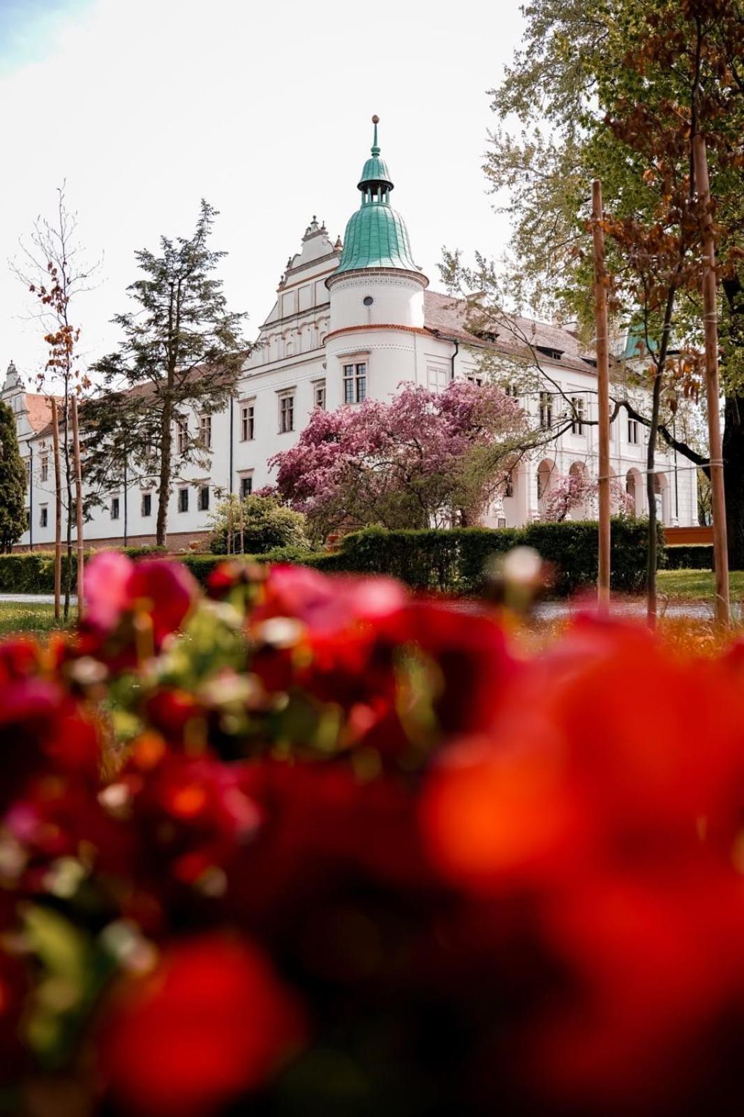 Zamek W Baranowie Sandomierskim Baranów Sandomierski Exteriér fotografie