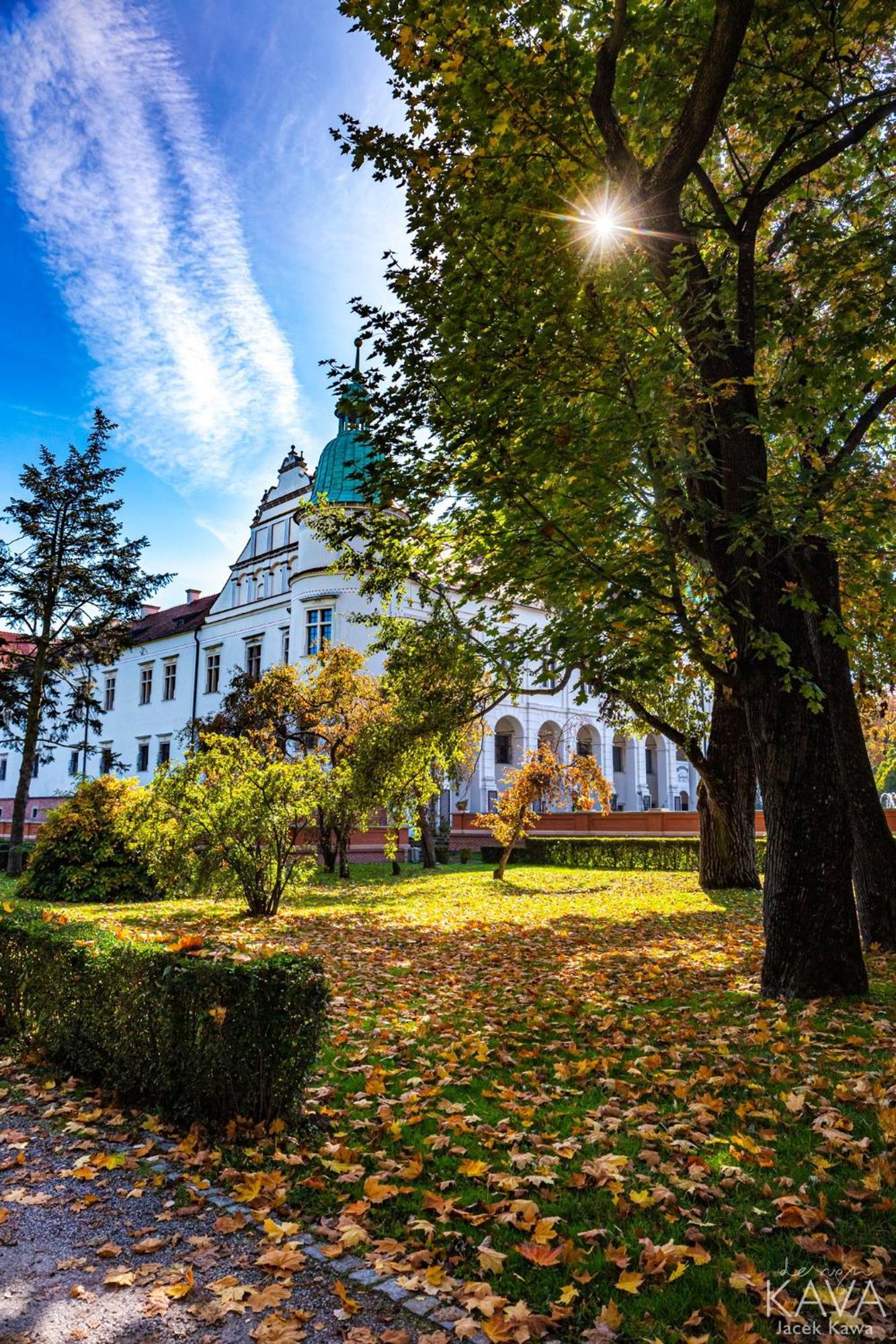 Zamek W Baranowie Sandomierskim Baranów Sandomierski Exteriér fotografie